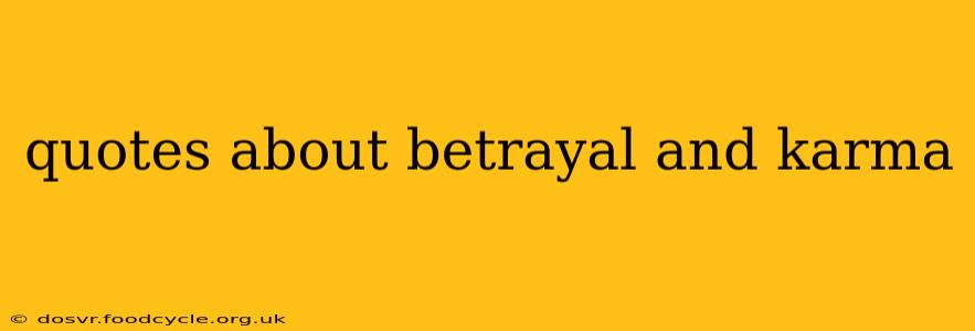 quotes about betrayal and karma