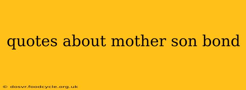 quotes about mother son bond