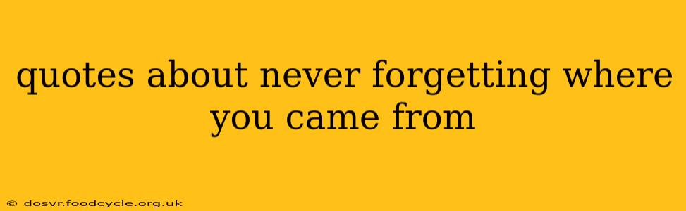 quotes about never forgetting where you came from