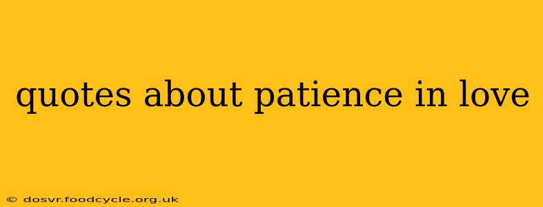 quotes about patience in love