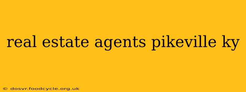 real estate agents pikeville ky