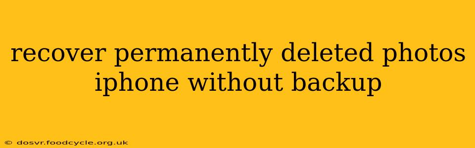 recover permanently deleted photos iphone without backup