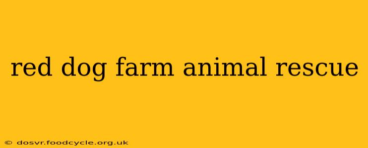 red dog farm animal rescue