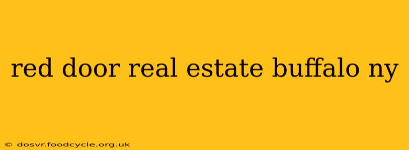 red door real estate buffalo ny
