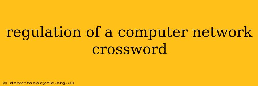regulation of a computer network crossword