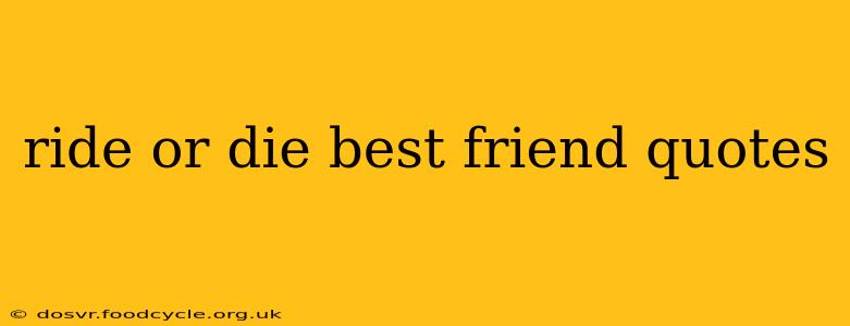 ride or die best friend quotes