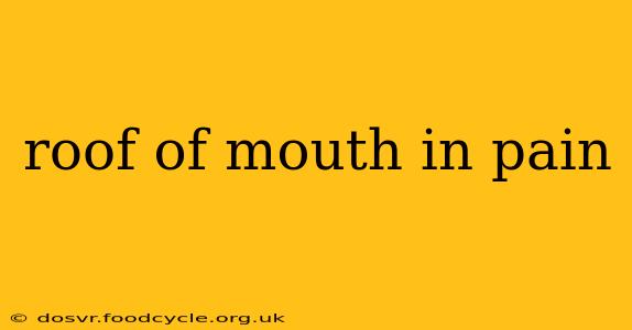 roof of mouth in pain