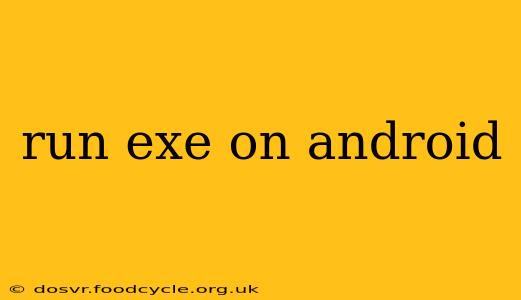 run exe on android
