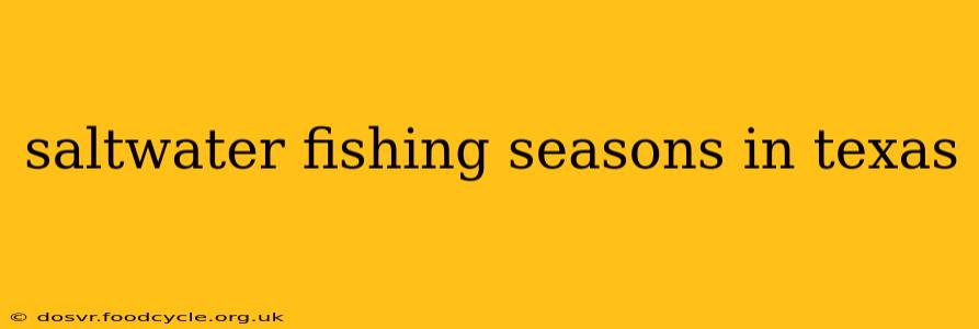 saltwater fishing seasons in texas