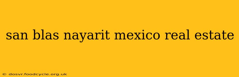 san blas nayarit mexico real estate