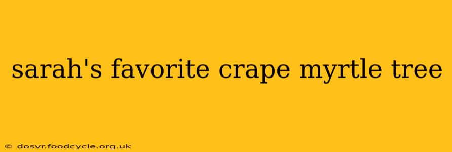 sarah's favorite crape myrtle tree