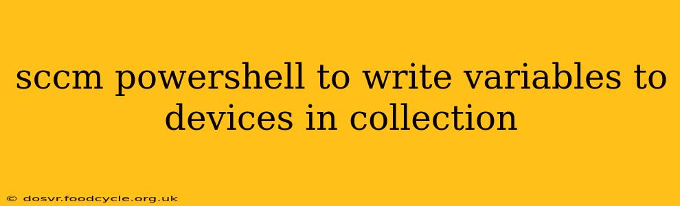 sccm powershell to write variables to devices in collection