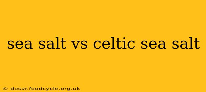 sea salt vs celtic sea salt