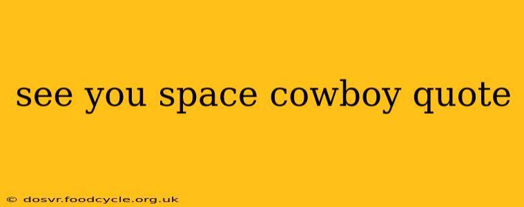 see you space cowboy quote
