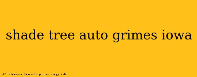 shade tree auto grimes iowa