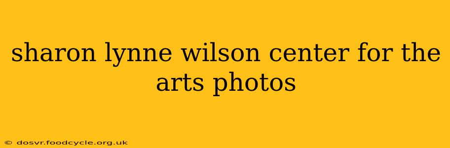 sharon lynne wilson center for the arts photos