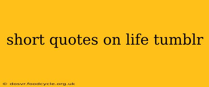 short quotes on life tumblr