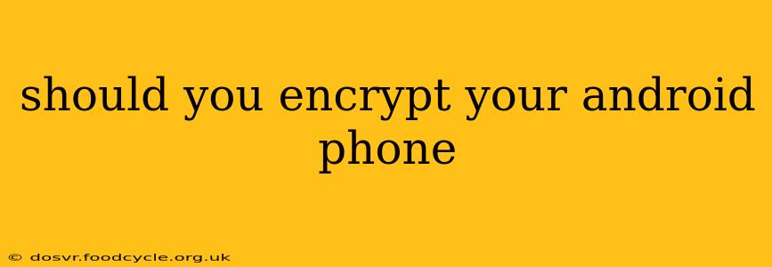 should you encrypt your android phone