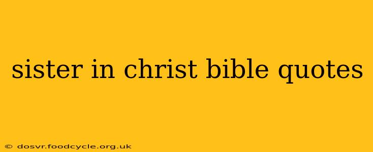 sister in christ bible quotes