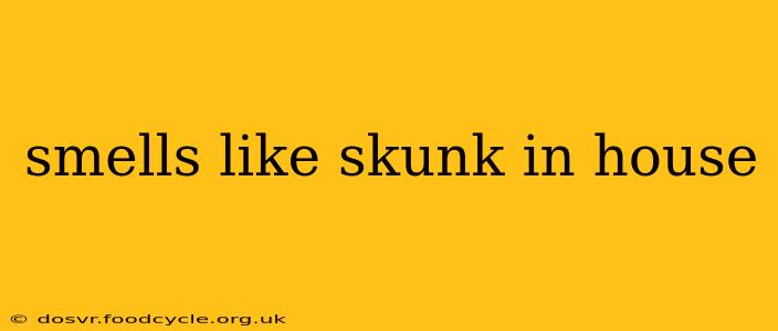 smells like skunk in house