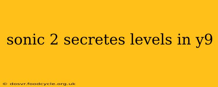sonic 2 secretes levels in y9