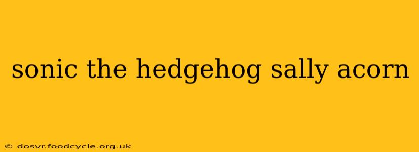 sonic the hedgehog sally acorn