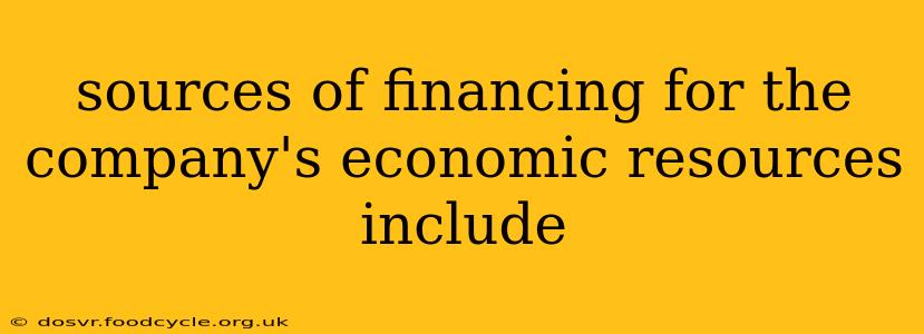 sources of financing for the company's economic resources include