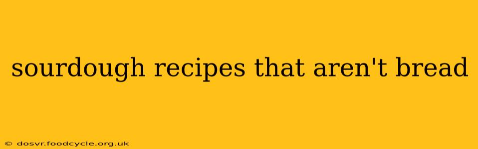 sourdough recipes that aren't bread
