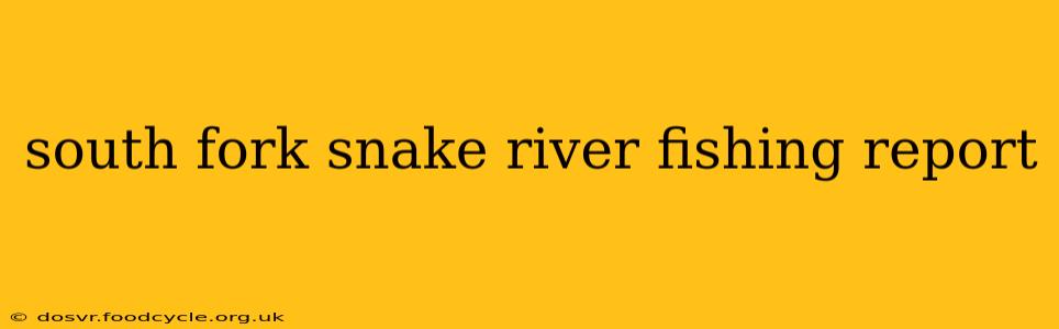 south fork snake river fishing report