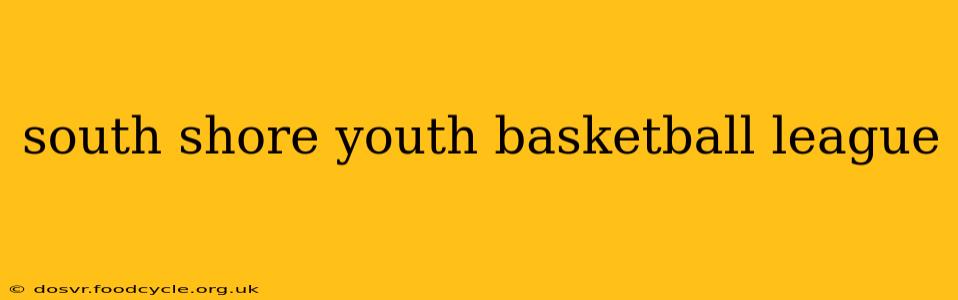 south shore youth basketball league