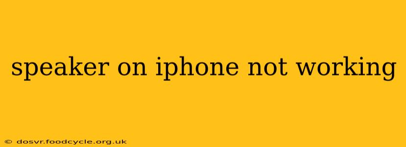 speaker on iphone not working