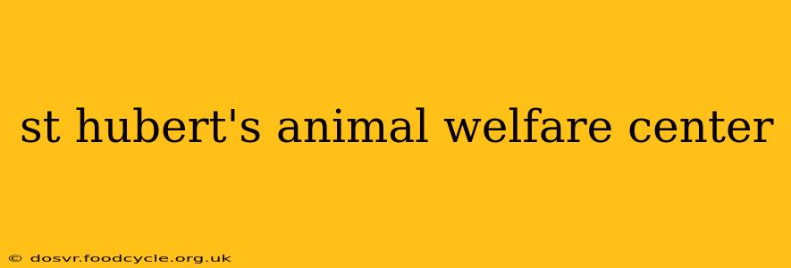 st hubert's animal welfare center
