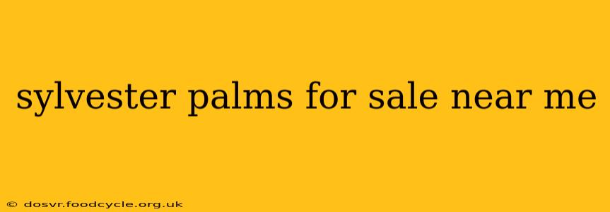 sylvester palms for sale near me