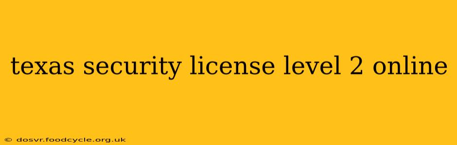 texas security license level 2 online