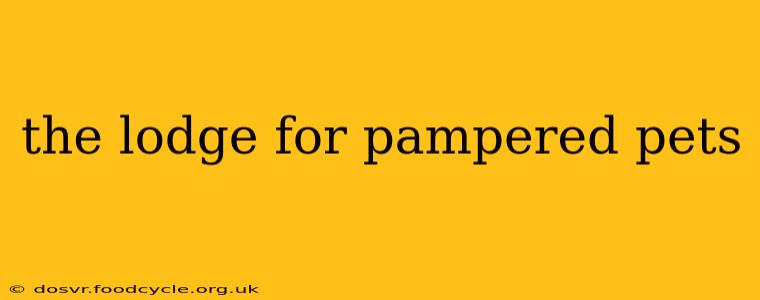 the lodge for pampered pets