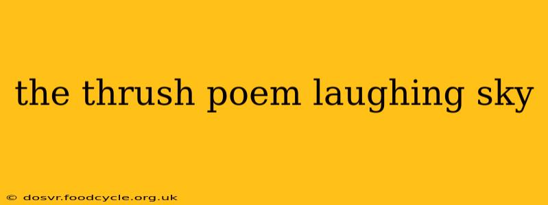 the thrush poem laughing sky