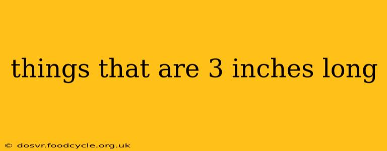 things that are 3 inches long