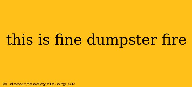 this is fine dumpster fire