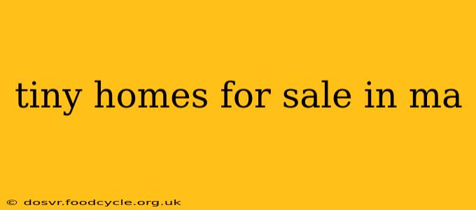 tiny homes for sale in ma