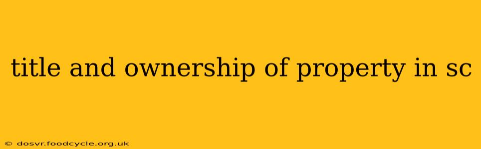 title and ownership of property in sc