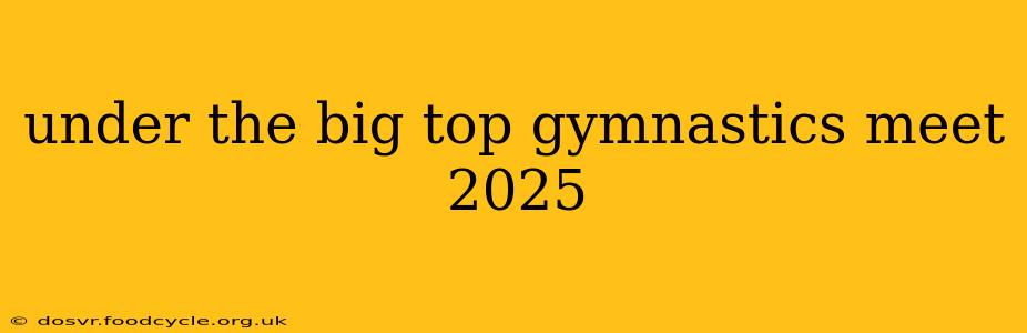 under the big top gymnastics meet 2025