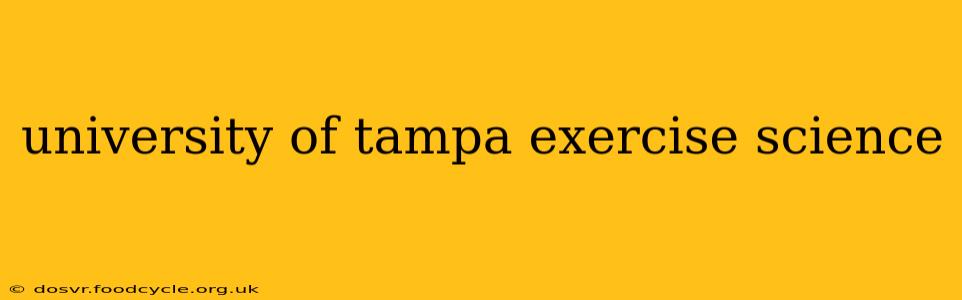 university of tampa exercise science