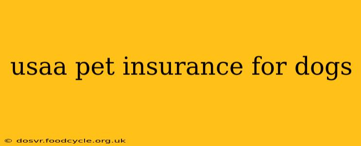 usaa pet insurance for dogs