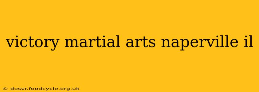 victory martial arts naperville il