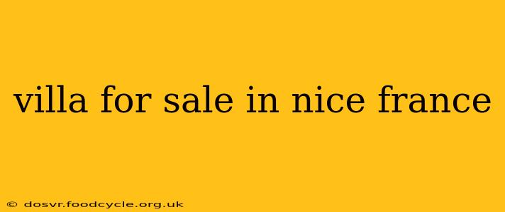 villa for sale in nice france