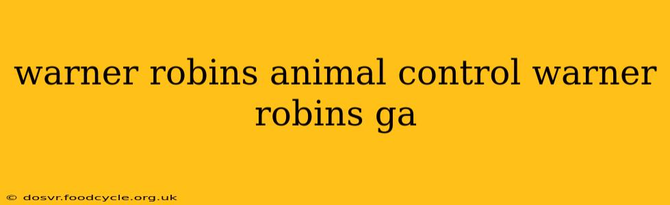 warner robins animal control warner robins ga