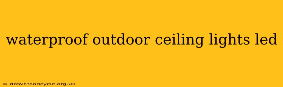 waterproof outdoor ceiling lights led