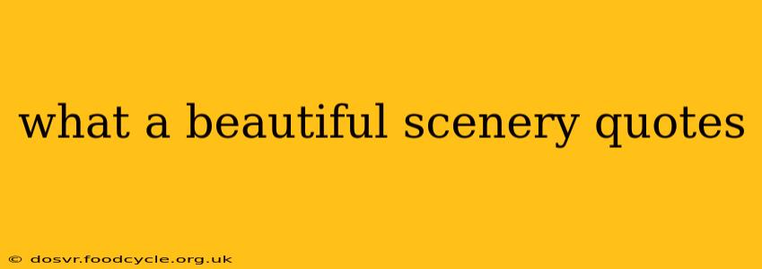 what a beautiful scenery quotes