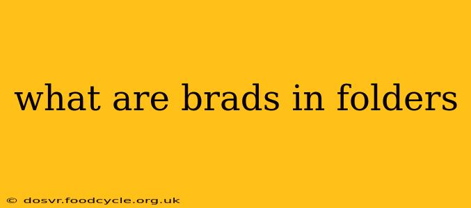 what are brads in folders
