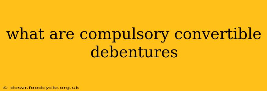 what are compulsory convertible debentures